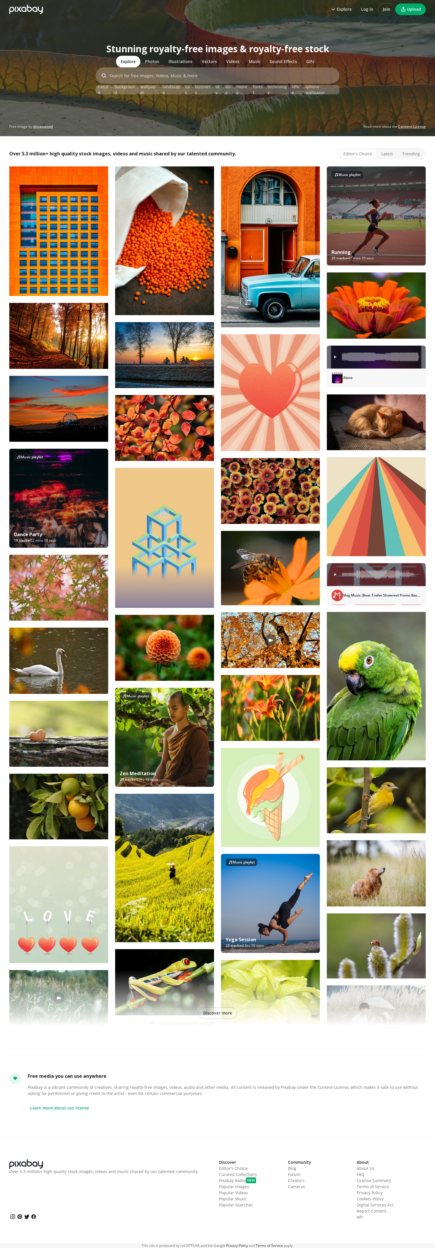 5.3 million+ Stunning Free Images to Use Anywhere - Pixabay
